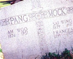 Mock Duck