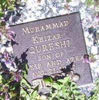 Mohammad Khizar Qureshi