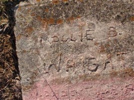Mollie B Wright