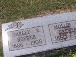 Mollie Brewer Mollie Brewer