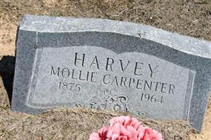 Mollie Carpenter Harvey