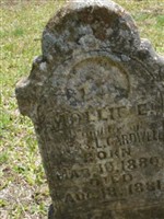 Mollie E Cardwell Mollie E Cardwell