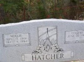 Mollie Hatcher