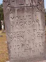 Mollie Jackson Flow