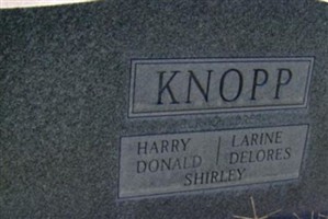 Mollie Knopp