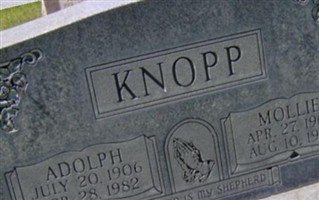 Mollie Knopp