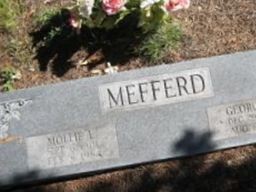 Mollie L. Mefferd