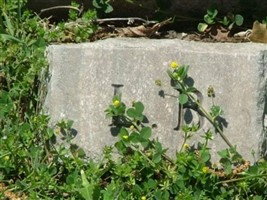 Mollie Lee Benton Blount Mollie Lee Benton Blount