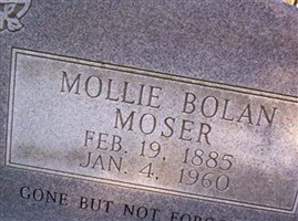 Mollie Moser Bolan