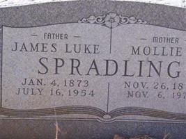 Mollie O. Hamil Spradling Mollie O. Hamil Spradling
