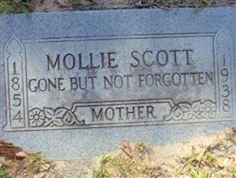 Mollie Scott