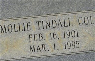 Mollie Tindall Coley