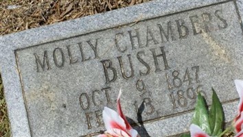 Molly Chambers Bush Molly Chambers Bush