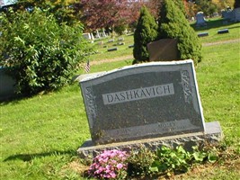 Molly Dashkavich