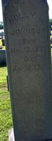 Molly L. Bradley Johnson Molly L. Bradley Johnson