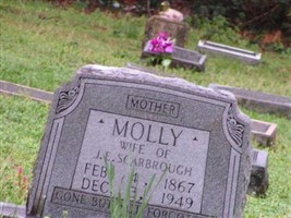 Molly Scarbrough Molly Scarbrough