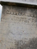Molsey Ann Rand Vinson
