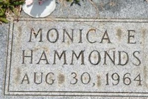 Monica E Hammonds Monica E Hammonds