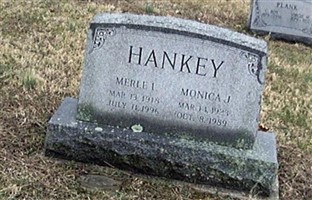 Monica L Hankey