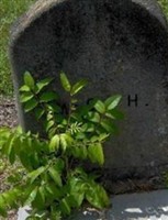 Monroe G. Hollis