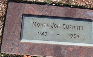 Monte Joe Curnutt Monte Joe Curnutt