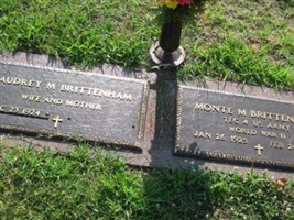 Monte M. Brittenham Monte M. Brittenham