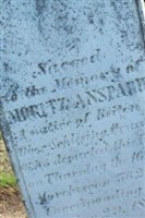 Moritz Anspagh Moritz Anspagh