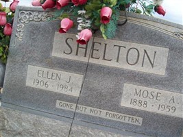 Mose Andrew Shelton