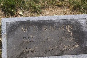 Mose E Walton