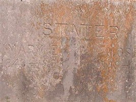 Moses Stater Moses Stater