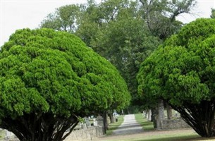 Mount Hope Cemetery Mount Hope Cemetery