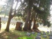 Mount Saint Scholastica Cemetery