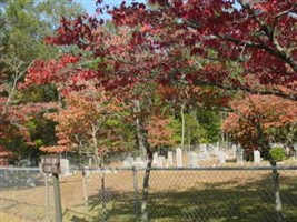 Mount Williams Cemetery