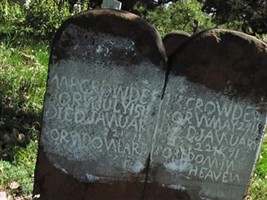 M. P. Crowder
