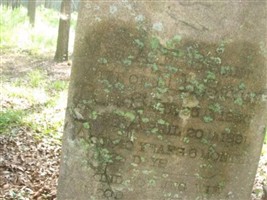 Mrs. A.E. Bryant Mrs. A.E. Bryant