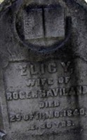 Mrs Elicy Haight Haviland