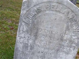 Mrs. Isabella Welsh