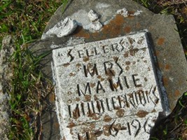 Mrs Mamie Middlebrooks