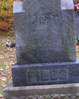 Mrs Mary Ann Willeford File