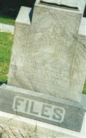 Mrs Mary Ann Willeford File