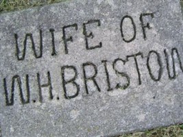 Mrs. W. H. Bristow Mrs. W. H. Bristow