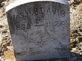 Mrs. W. S. Davis