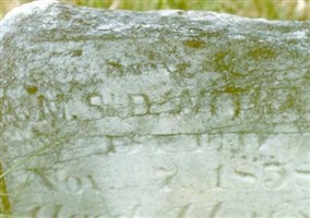 M S. D. Witham