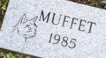 Muffet "The Cat" Ambrose