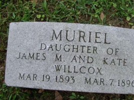 Muriel Willcox