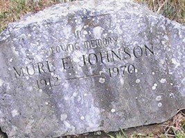 Murl E Johnson