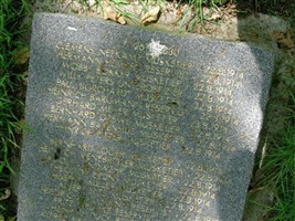 Musketier Adolf Landwehr Musketier Adolf Landwehr
