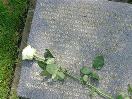 Musketier Griesser Hermann Musketier Griesser Hermann