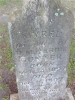 Myree Gunter