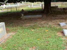 Myrtice Thaxton Hendricks